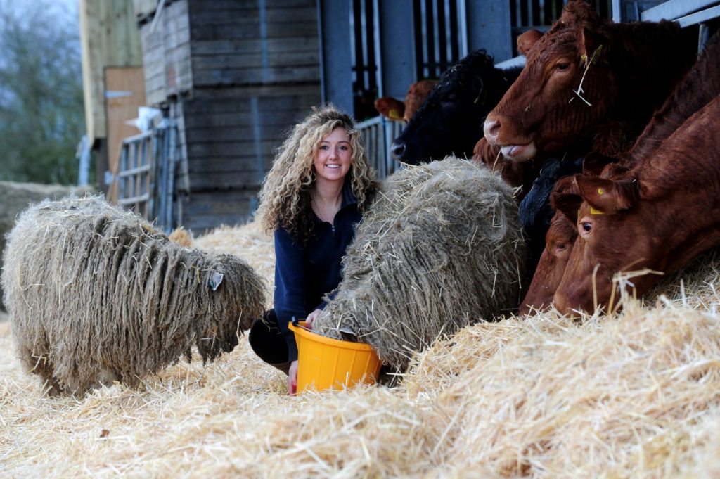 Working Farm